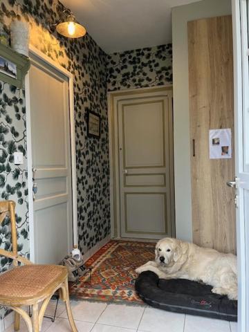 "Aux Chants Des Oiseaux" Domaine De La Renardiere Les Grandes-Loges Dış mekan fotoğraf